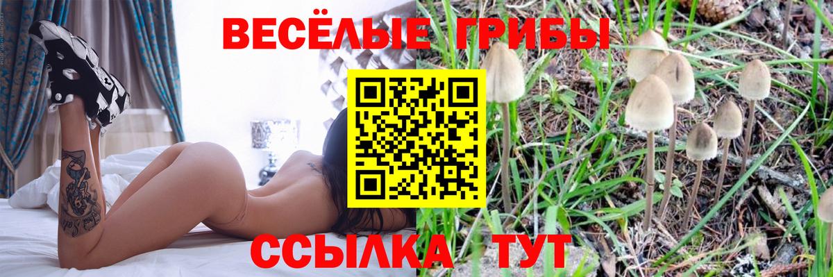 Галлюциногенные грибы мицелий  магазин продажи   Прокопьевск  Вход с VPN 
